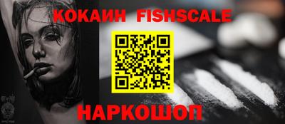 амф Гусев