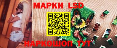 амф Гусев