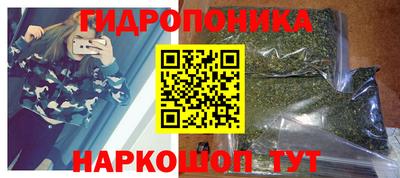 прущие грибы Гусиноозёрск