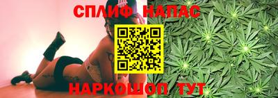амф Гусев