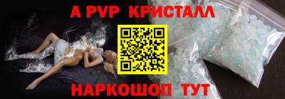 прущие грибы Гусиноозёрск