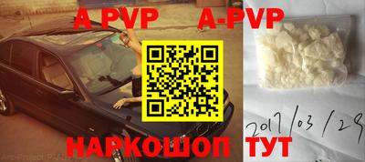 амф Гусев
